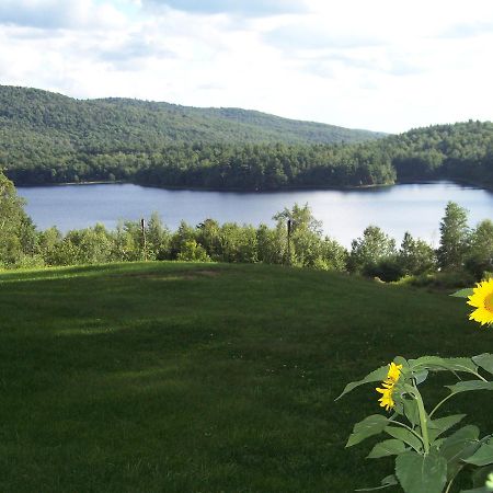 Hummingbird Hill Bed and Breakfast Stoddard Eksteriør billede