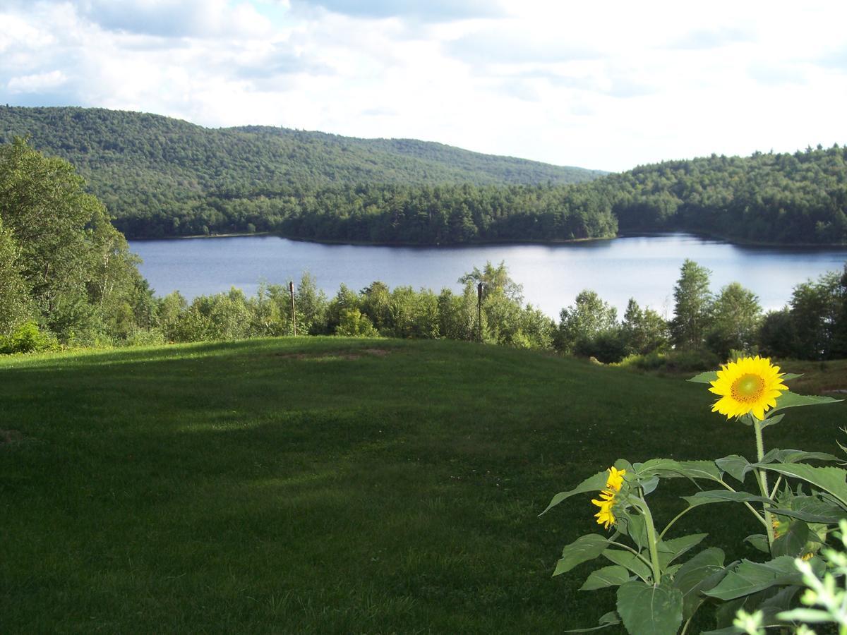 Hummingbird Hill Bed and Breakfast Stoddard Eksteriør billede