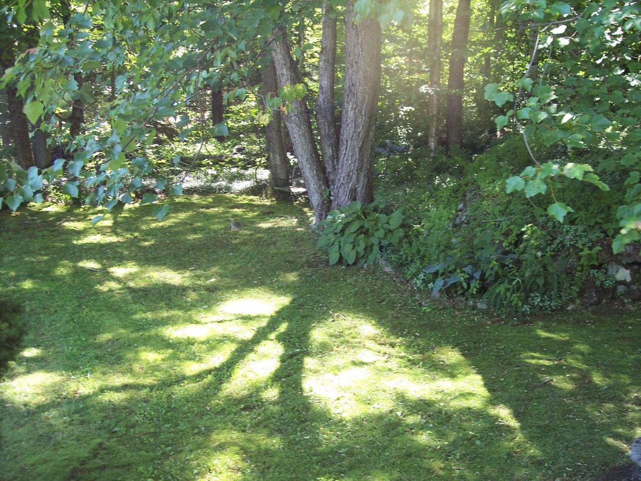 Hummingbird Hill Bed and Breakfast Stoddard Eksteriør billede