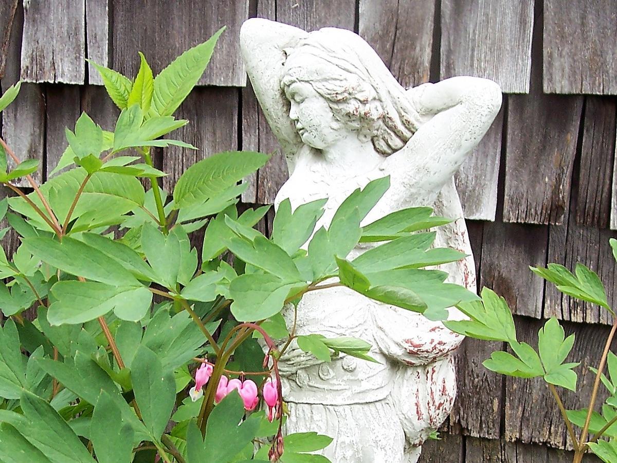 Hummingbird Hill Bed and Breakfast Stoddard Eksteriør billede