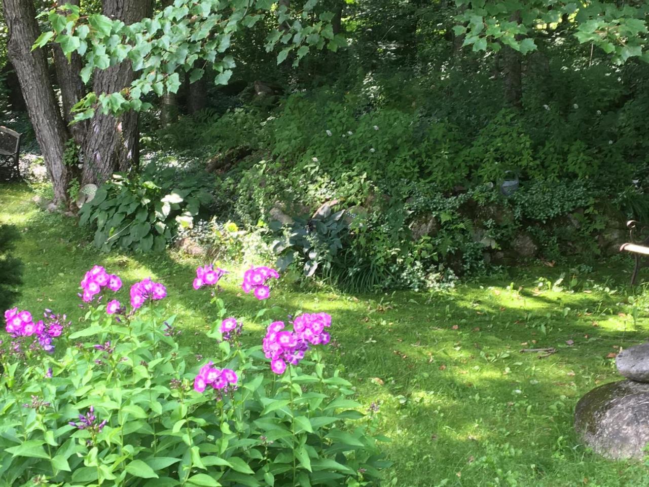 Hummingbird Hill Bed and Breakfast Stoddard Eksteriør billede